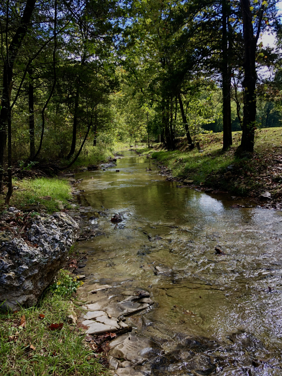 Spring-fed creek flowing through wooded Ozarks scenery at Homestead Farm Retreat & RV in Branson, Missouri